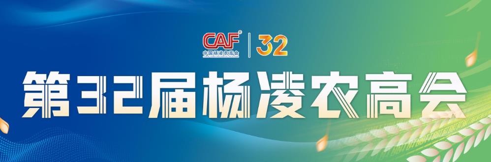 202510281941241006.jpg 3.jpg